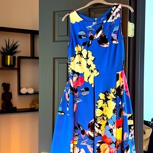 Taylor Pleated dress size 6